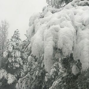 Meet your Posher, Jean